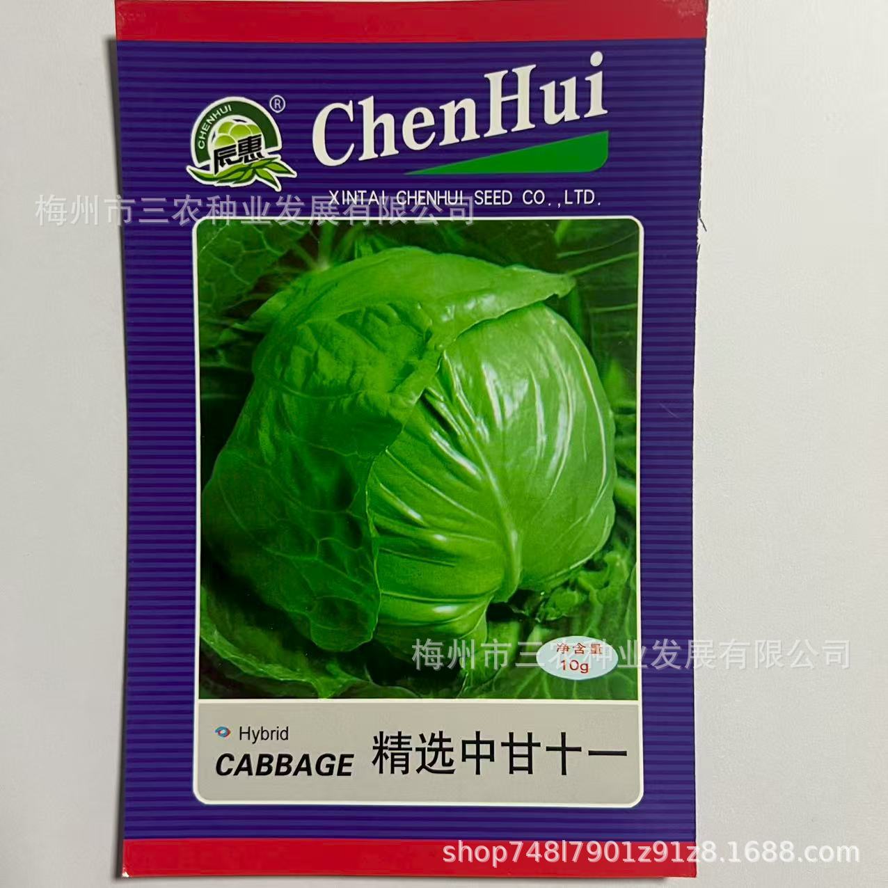 精选中甘十一包菜甘蓝种籽菜园院子种植蔬菜种子电商批发厂家直发