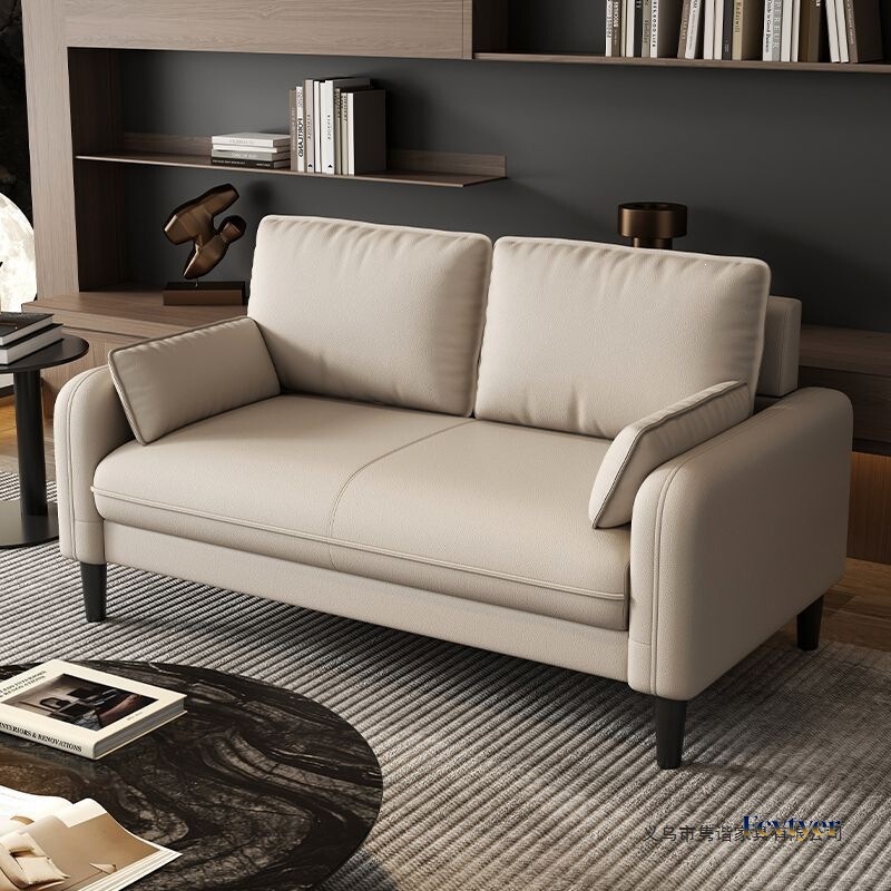 Light Luxury Sofa for Small Apartments, Double or Triple Seat Sofa for Rental Apartments, Rest Areas, Reception Areas, Guesthouses, and Clothing Stores Light Luxury Sofa for Small Apartments, Double or Triple Seat Sofa for Rental Apartments, Rest Areas, Reception Areas, Guesthouses, and Clothing Stores