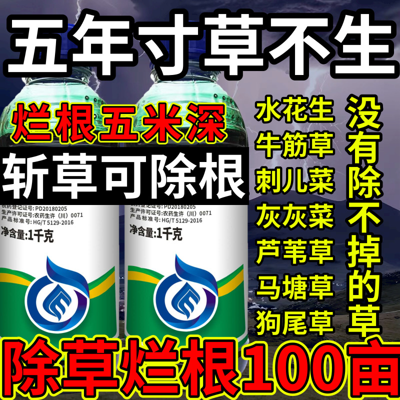 五年寸草不生高浓度精草铵膦铵盐水花生斩草除根杂草烂根除草剂