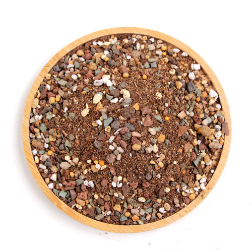 Manufacturer wholesales special nutrient soil for succulents, succulent granules, soil for household leaf cuttings, pavement planting, flower soil and plants
