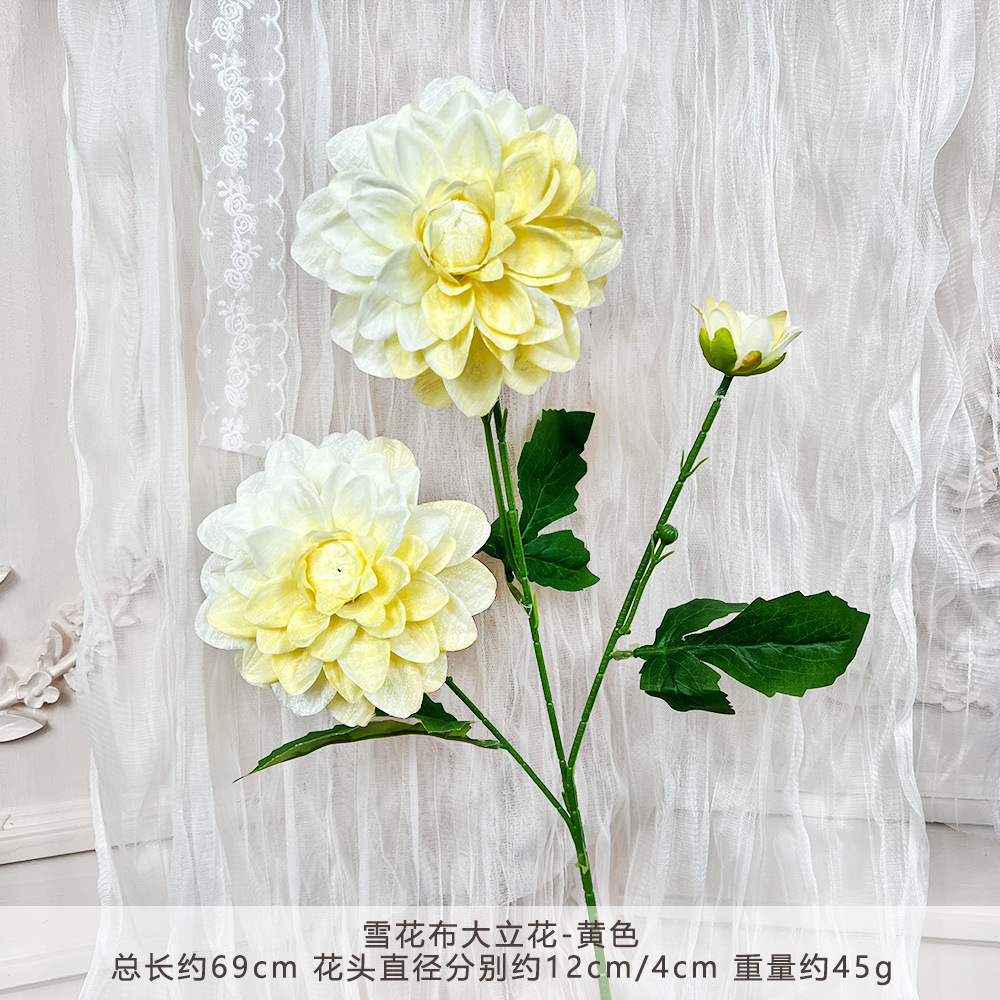 YG-雪花布大丽花-黄色