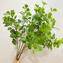 ��Ʒ�������~���滨�͏d�����[�ż٘��~���J�~�����쾰�b��X�~