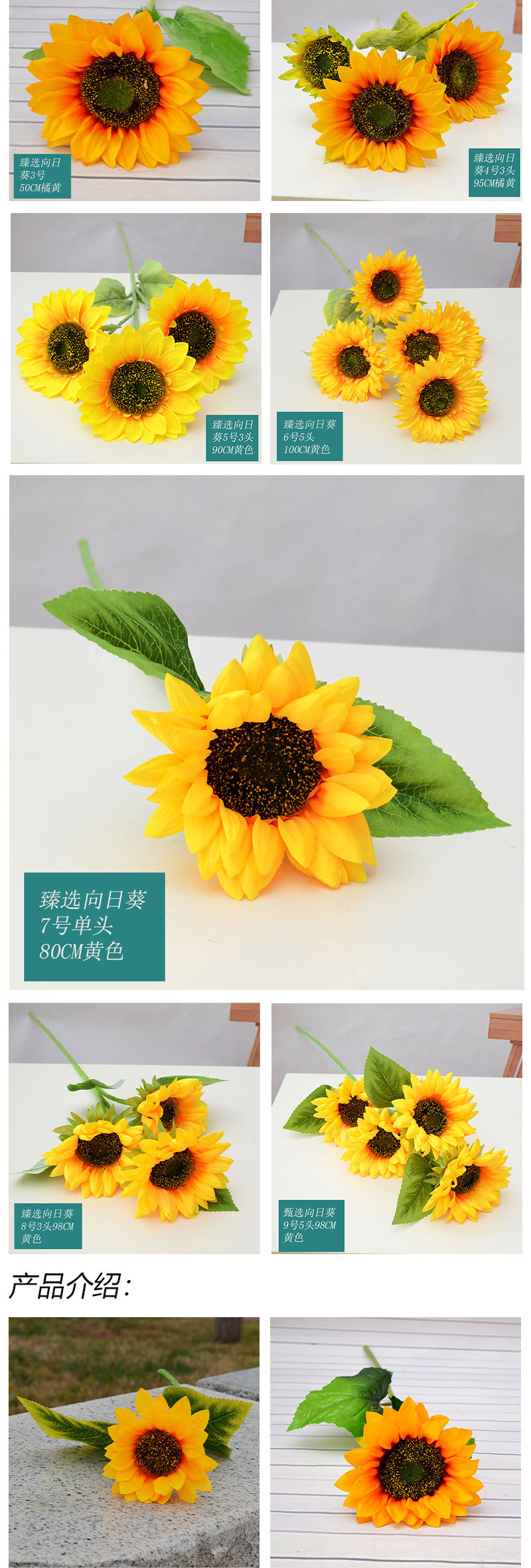 臻选向日葵_03.jpg
