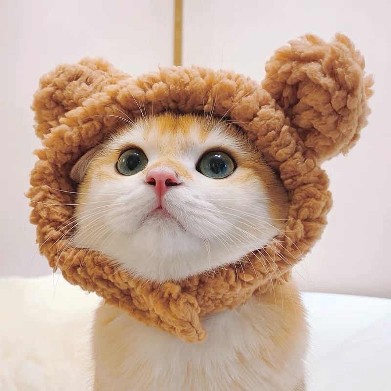 宠物帽子猫咪头套可爱小熊头饰小型犬狗狗青蛙狮子花朵头饰兔耳朵|undefined
