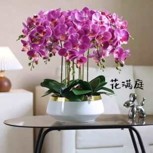 �����m���滨�͏d�ҕ���[�O������˾ǰ̨�[�����m���b�����