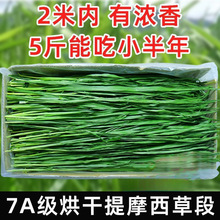 7AĪݺɕӲ²؈ʳòӲݼZmi