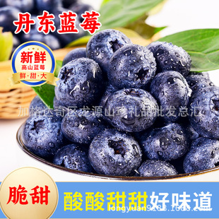 ���|�{ݮ�r�����|��ɽ�{ݮ�����r�{ݮˮ���{ݮ��Ʒ����a�ذ��]