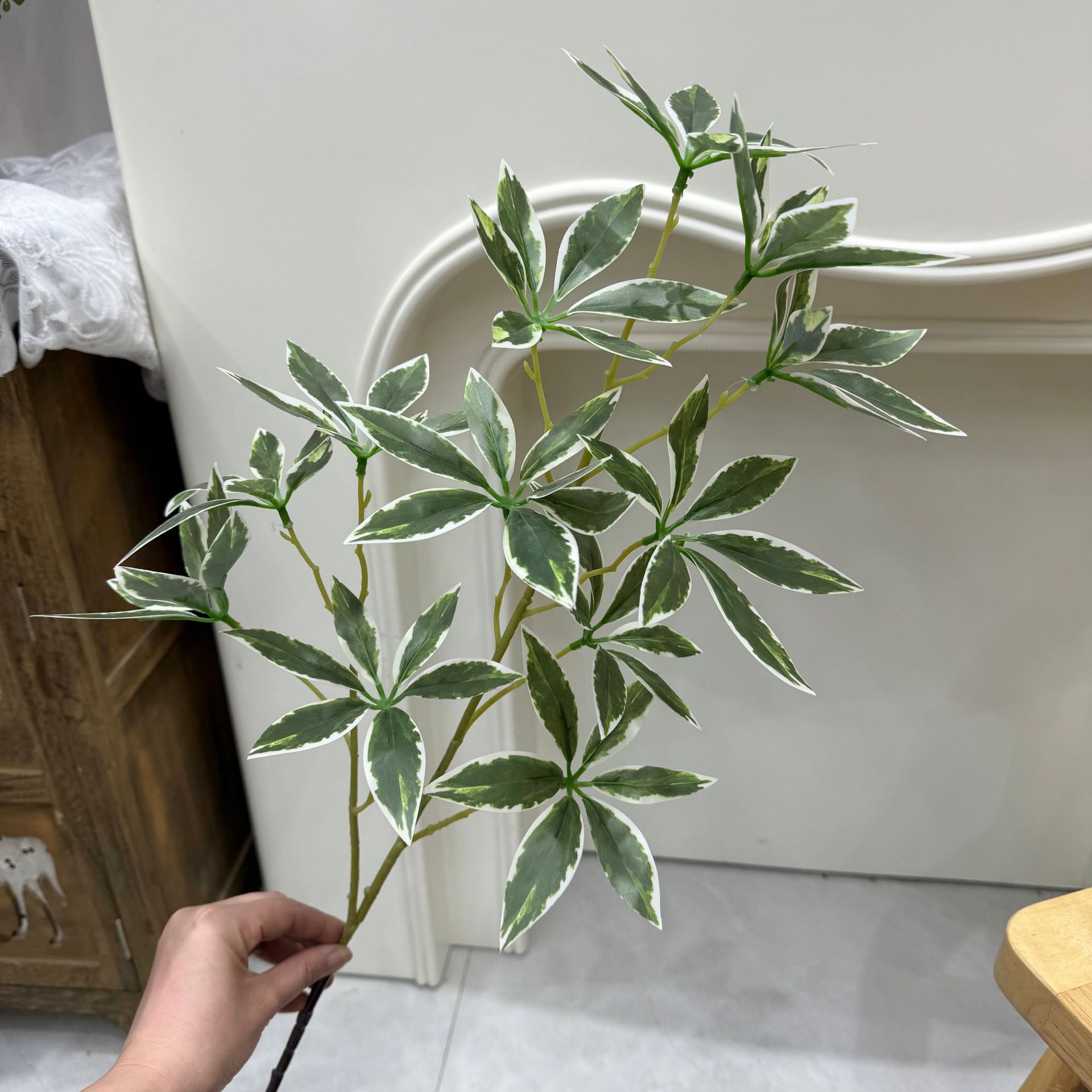 Película para Impresión 3D - Fortune Leaf