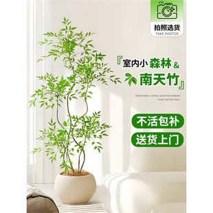 �����������������k���҃Ȼ����Ϙ����^�����辰�͏d���B�Gֲ��