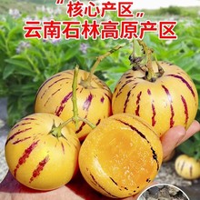 �����˲ι�ˮ��10������������ʯ��������������������Բ������