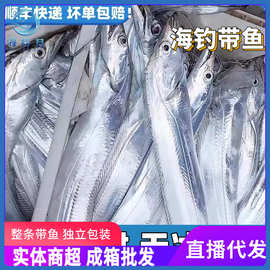 海捕带鱼新鲜冷冻整条刀鱼油带鱼黑眼带鱼海钓带鱼无冰净重包邮