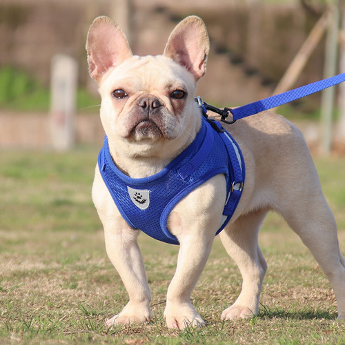 Pet dog harness reflective dog leash small dog vest style pet leash wholesale