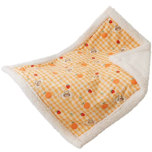 Thick Lamb Wool Cartoon Pet Blanket for Autumn and Winter