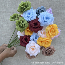 �ʯõ���滨��֦�o�~õ�廨��c�Ҿ��b����͏d�[���Ĕz�ٻ�