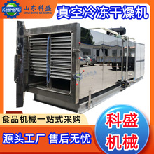 商用鸡胸肉冻干机 酸奶块真空冷冻干燥机 羊肚菌冻干干燥设备