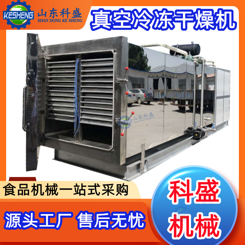商用鸡胸肉冻干机 酸奶块真空冷冻干燥机 羊肚菌冻干干燥设备