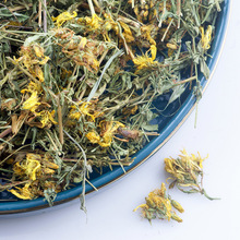 �®a�}�s���ݸɲݎ���500g ���B�Nֲ ��������������