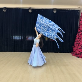 舞台/表演服;肚皮舞表演服;旗帜