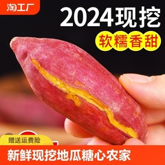 正宗沙地红心蜜薯红薯新鲜农家糖心番薯山芋批发包邮现挖现发地瓜