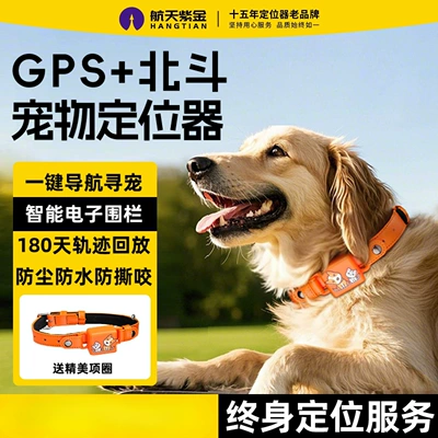 GPS Locator | collar to prevent loss