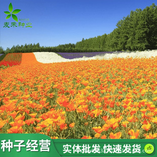 ���������ӷN�ӻ�����ͺ�����ϲ��ļ�ͥԺ���ݑ����_���G�����N