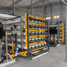 0.5-100吨T工业双极反渗透纯水生产设备大型净水器超纯水处理系统