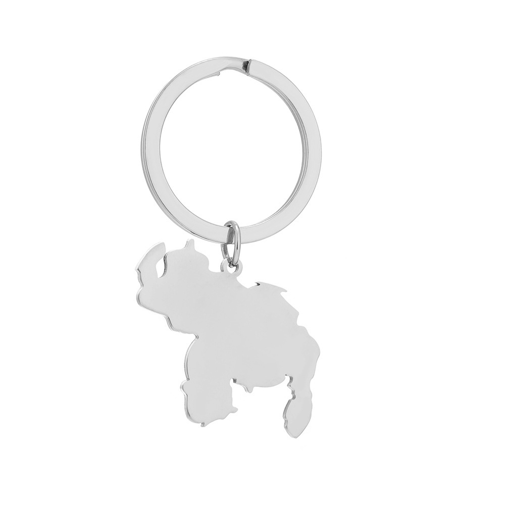 13g Weight Keychain Classification 201 Stainless Steel Material Map Pattern Simple Style Map Titanium Steel Unisex Keychain 2