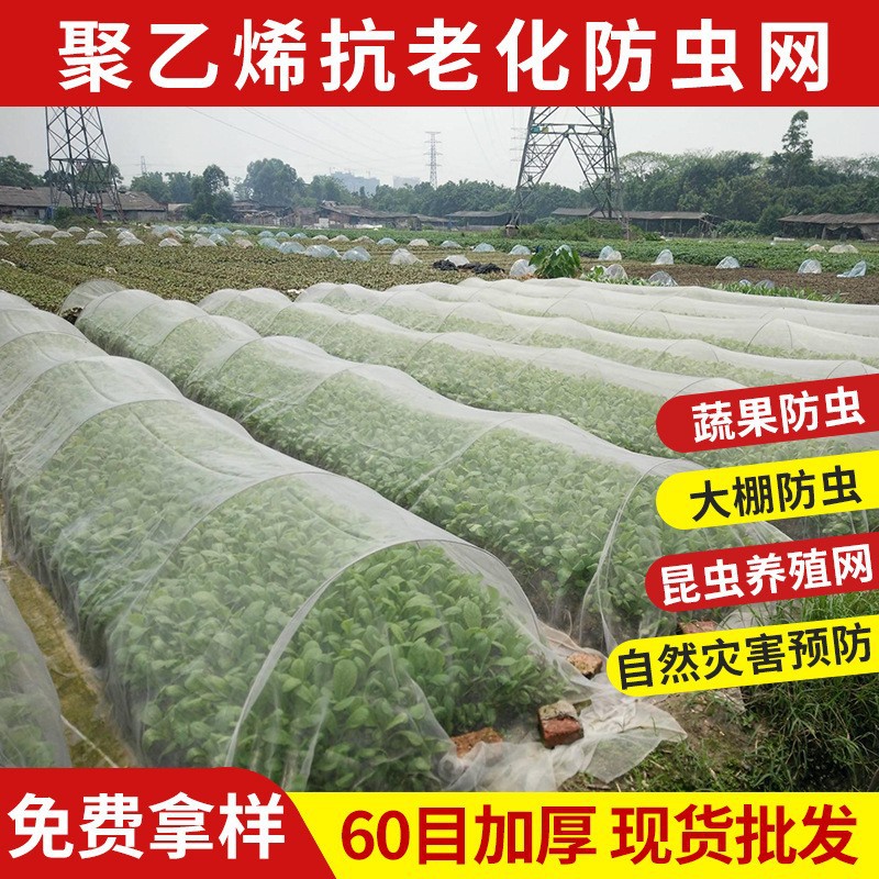 厂家直供现货防水防晒防虫网 果园蔬菜大棚40目防虫网