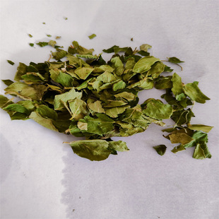 ���y���~ �G�~ 02���l֧�ִ��l1000��֧�ֻ���