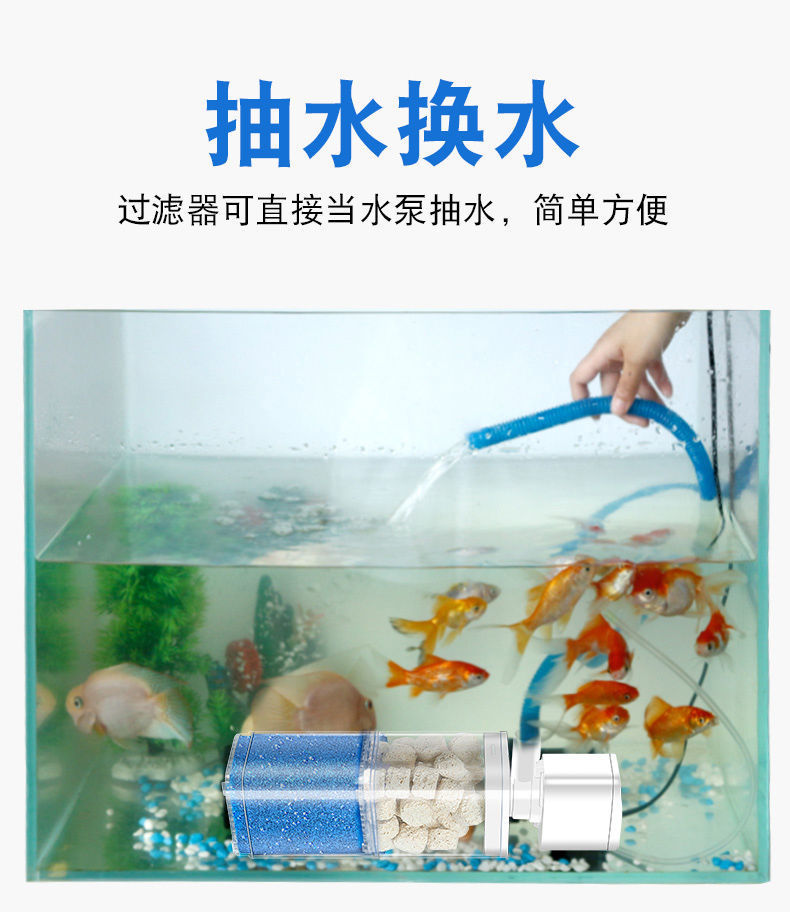 815025b7-6db0-4dad-ac8d-ba2a82c92642.jpe