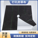 打孔切片防草布遮草布厂家直销跨境供应批发切缝打孔果树大棚农用