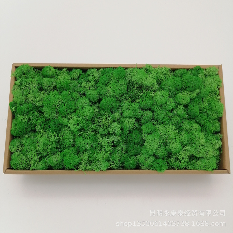 Moss Wholesale Moss 200G Gift Box Eternal Moss Flowers Home Props Photography Factory Direct Sales