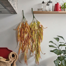 �S���羳�＾�ȼ������_�m���滨С�r��÷���������⻨��ֲ���b�