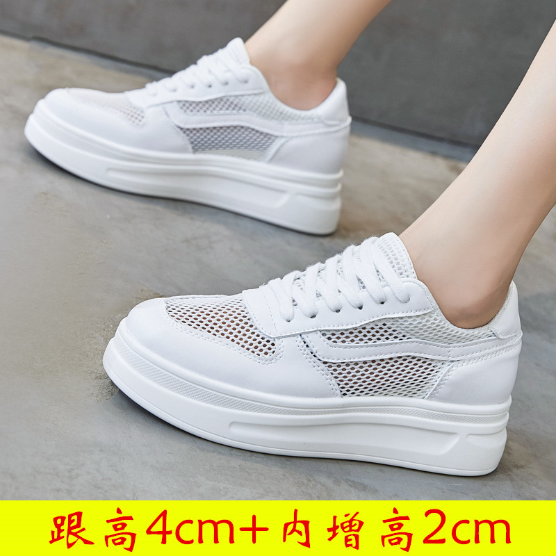 309LK-6cm 흰색 중공
