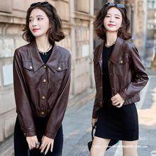 2025�ﶬ�¿�̿��������e�r�аٴ�A�˙C܇�@�ݾd��ƤƤ������Ů