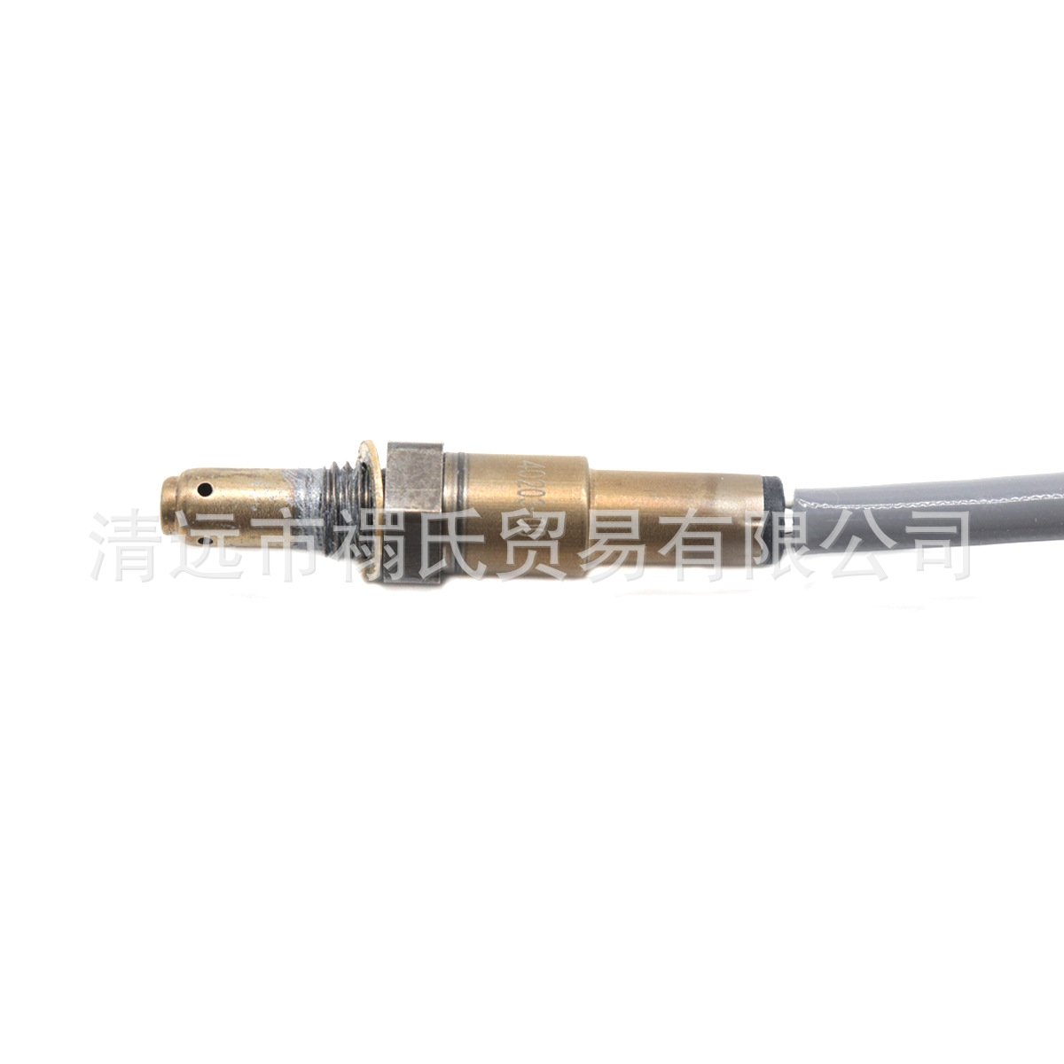 S79b3075b6737441ba42b06b6847dc