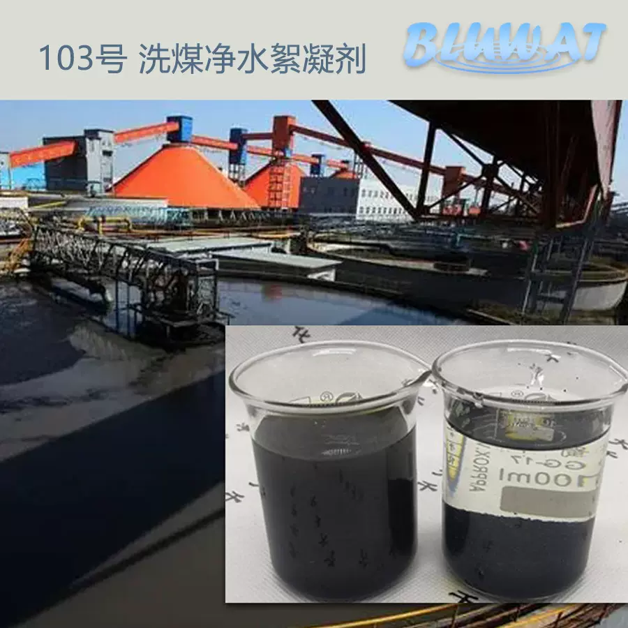 103号 无锡蓝波品牌 洗煤厂 矿场 洗煤用净水絮凝剂高效水溶性