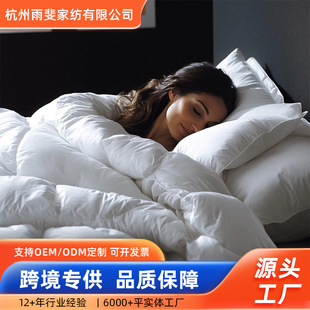 Amazon Winter Warm Goose down Quilt Pure Cotton Fabric Machine Washable Cotton Quilt Winter Fluffy down Feather Winter Quilt