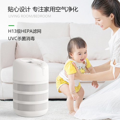 Nobik Home Pet Ionic Air Purifier Indoor Hair Allergen Filter UV Sterilization Machine