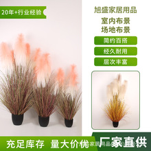 ins�L�����JȔ���Է���Gֲ���滨���[���Ѳݻ�c�쾰��ؔ[��