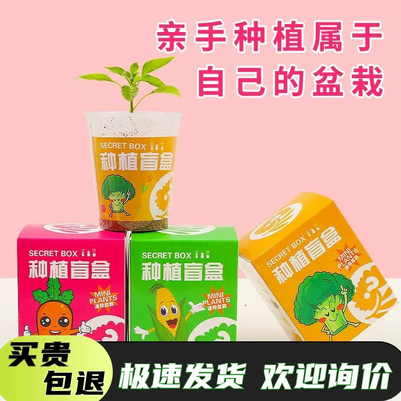 儿童个性创意种植小盆栽盲盒小礼品玩具办公室幼儿园玩具学生奖品