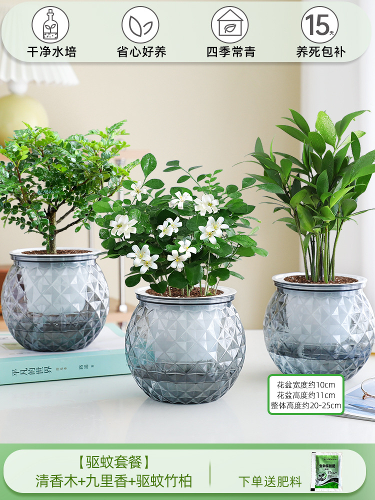 [모기퇴치 패키지] 향나무 + 구리향 + 모기퇴치대나무와 편백나무