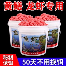 �S�X�T�D���r�D���X�~���q���r�r���r�\�~�r�O�W�\�~�D�w���~�W