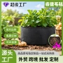 大号加厚种植定制种植袋