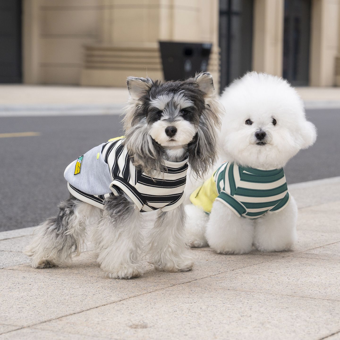 Camiseta a rayas ligera para perros pequeños y bichon frise_voghion.com