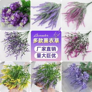 ޹�²��L�������滨�����ϼٻ��� ���ﻨ��@���ۖřڲ廨�ҾӔ[