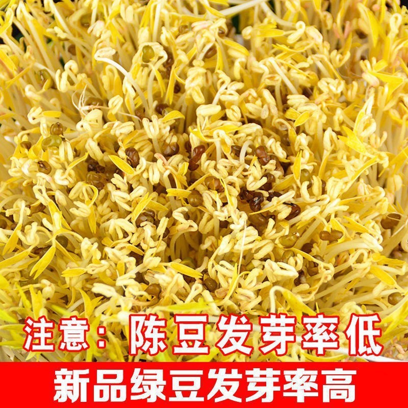 绿豆5斤 农家自产小绿豆500g新鲜豆芽笨绿豆绿豆糕五谷杂粮粥批发|undefined