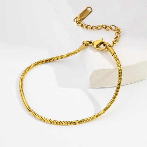 Minimalist Ins Titanium Steel Plated 18k Gold Round Snakeskin Chain Gold Plated Bracelet Adjustable Fashion Accessory Unique Design