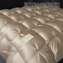 羽绒被95%白鹅绒冬被芯加厚保暖吊吊绒被子春秋被羽绒婚庆羽绒被