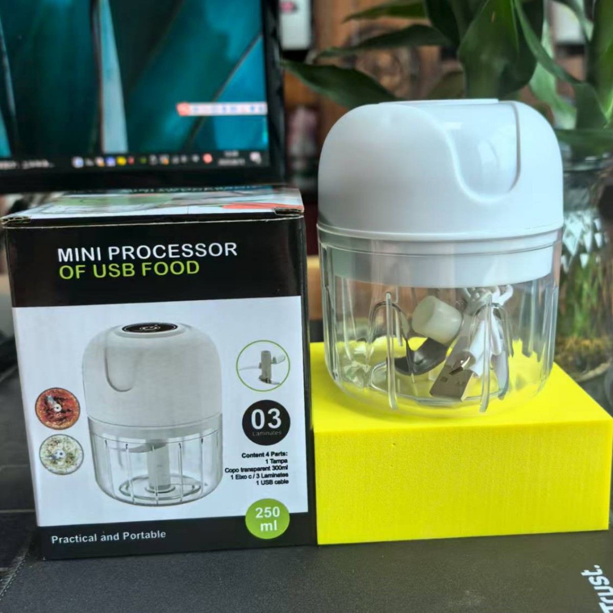 Amazon Cross-Border Foreign Trade Export Electric Garlic Pounder Garlic Grinder Blender Cooking Meat Grinder New Model Garlic Grinder